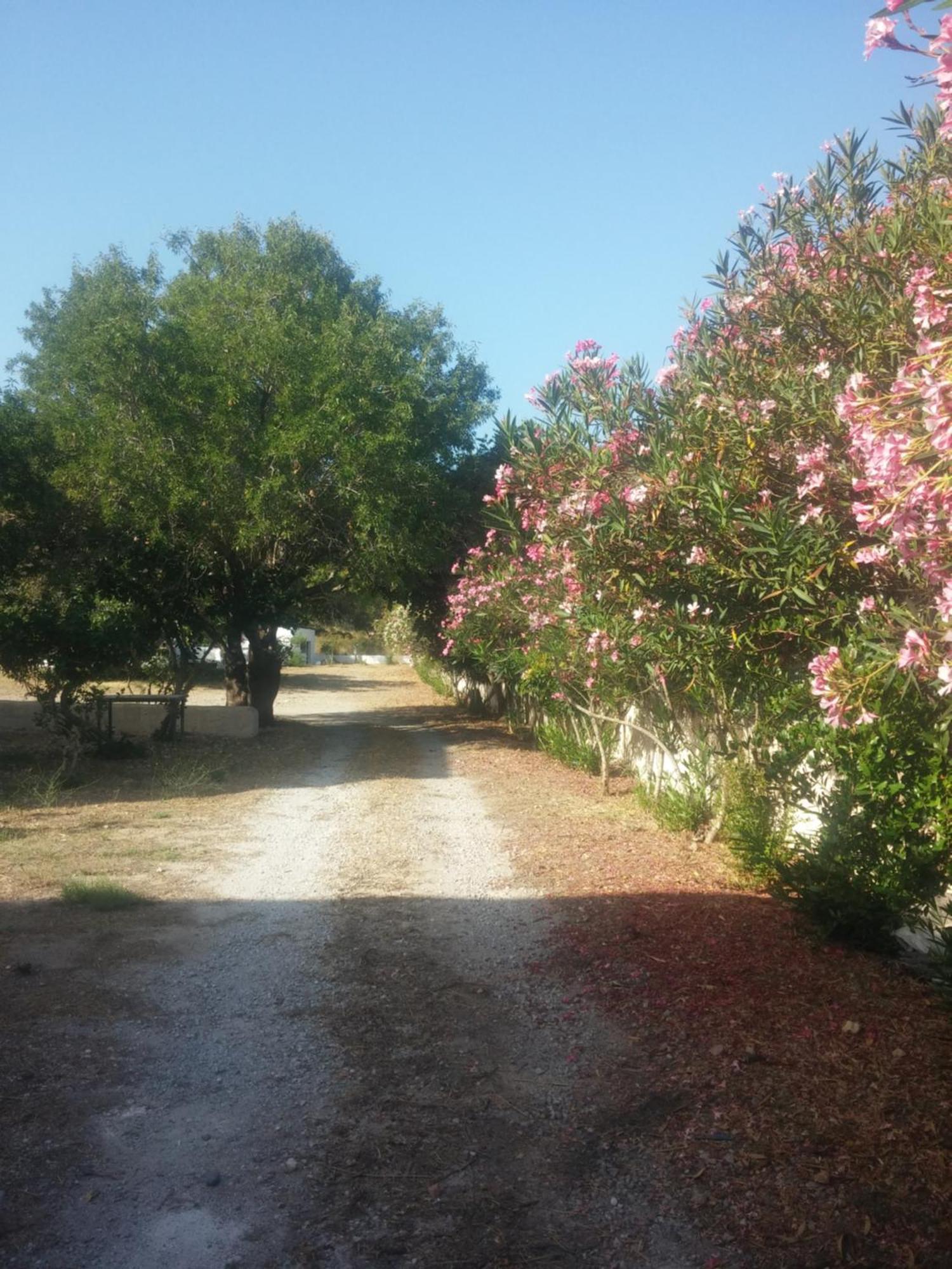 Ζini 2 Villa Kéfalos Exterior foto