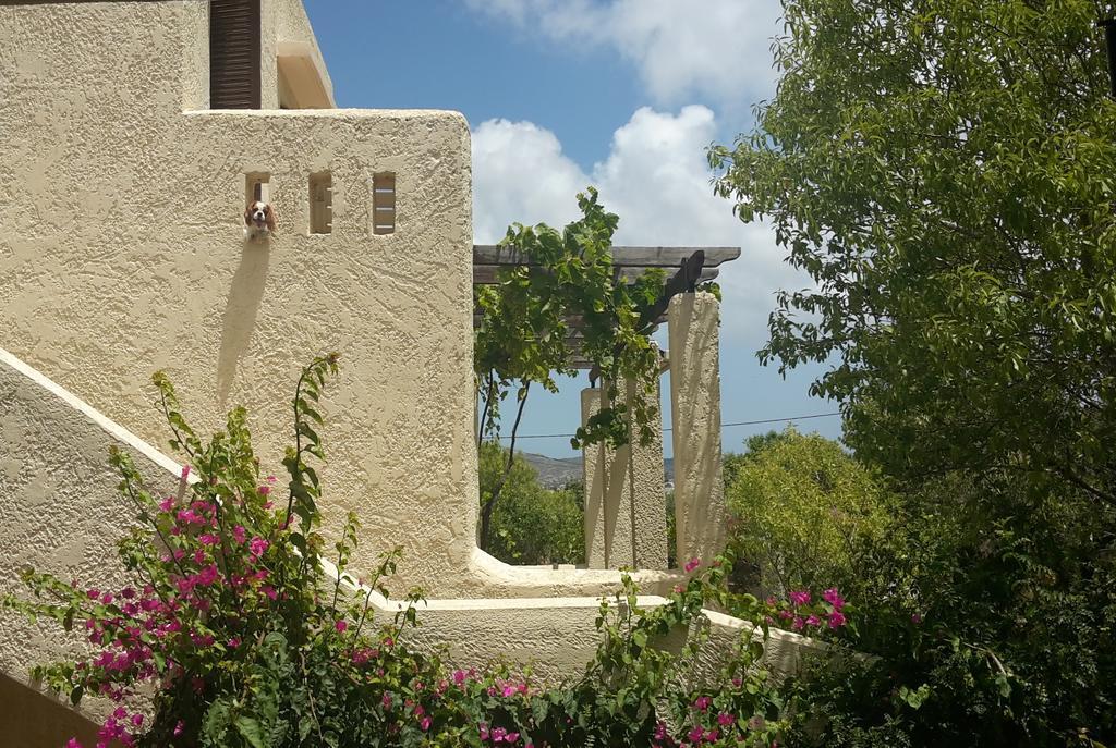Ζini 2 Villa Kéfalos Exterior foto